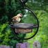 Zazu Black Steel Bird Feeder with Clear Bowl